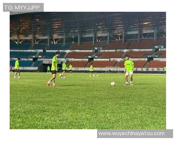 郴州足球明星盘点及其在国内外赛场的精彩表现与成就分析