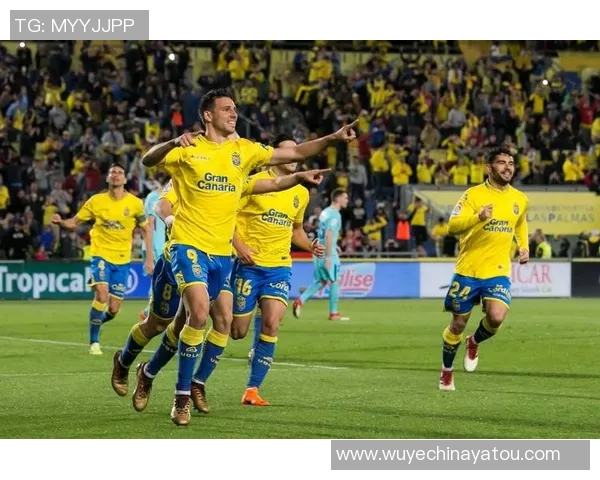 双脚均衡的足球明星如何在赛场上展现独特魅力与技术优势